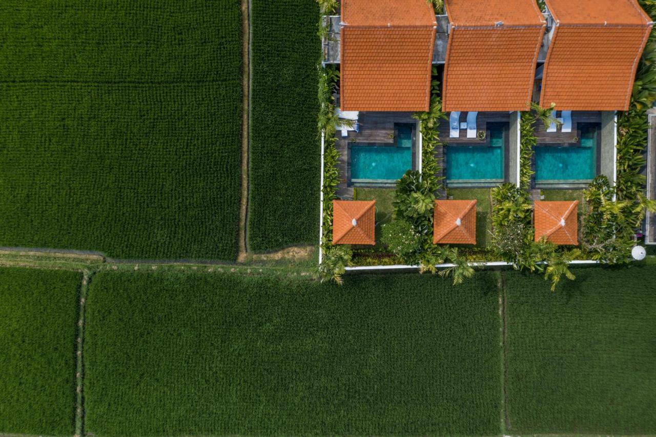 Sawah Villas Убуд Экстерьер фото