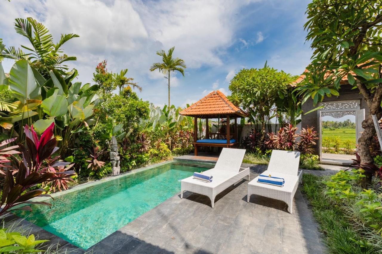 Sawah Villas Убуд Экстерьер фото